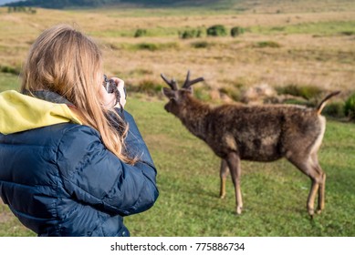 Female Wildlife Photographer