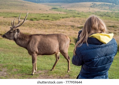 Female Wildlife Photographer