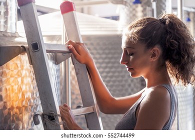 Female Winemaker Controls The Quality Of Wine On Ladder Over Tank