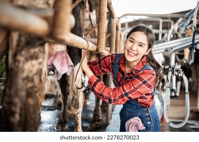 Female worker in barn with automatical cow milking machines. squirting the milk into a silver bucket - Shutterstock ID 2278270023