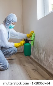 Female Worker Of Cleaning Service Removes Mold From Wall Using Spray Bottle With Mold Remediation Chemicals, Mold Removal Products.