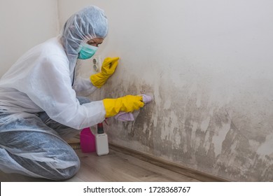 Female worker of cleaning service removes mold from wall using spray bottle with mold remediation chemicals, mold removal products - Shutterstock ID 1728368767