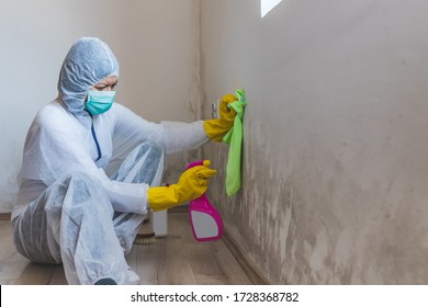Female worker of cleaning service removes mold from wall using spray bottle with mold remediation chemicals, mold removal products. - Shutterstock ID 1728368782