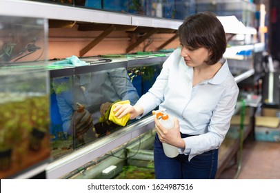 Female Worker Of Pet Shop Cleaning Fish Tanks With Colorful Fish

