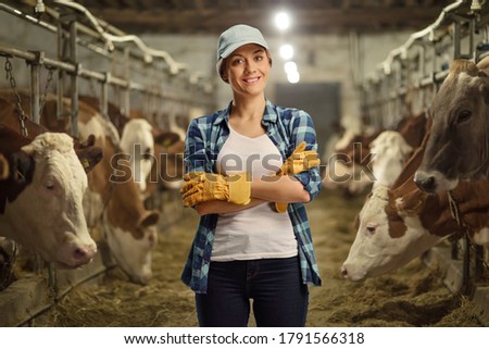Female worker posing on a cow dairy farm inside a cowshed