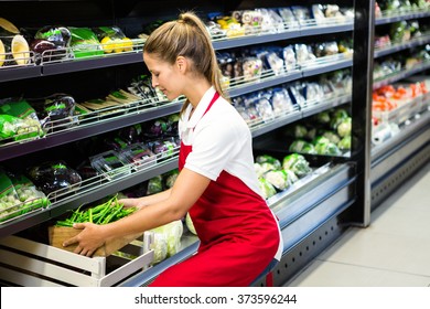 Female Worker Putting Vegetable Box In Shelf In Grocery Store