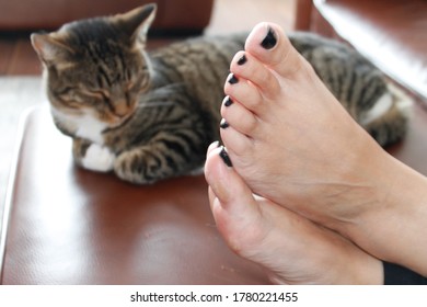 Females Feet Sat On A Stool With A  Domestic Pet Cat Sat In The Back Ground