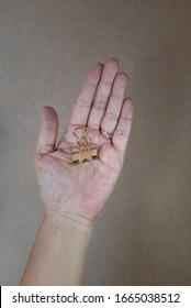 Female's Hand Holding Gold Binder Clip Isolated On Brown Background 