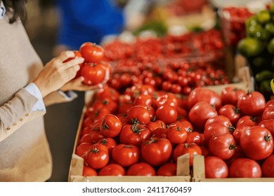 Female's hands choosing organic tomatoes at food market. - Powered by Shutterstock