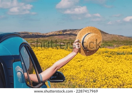 Feminine hand holding straw hat from the opened window of the car, among the yellow wild flowers. Summer road trip concept