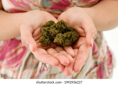 Las manos femeninas mantienen cerradas varias flores secas de cannabis. Usa un vestido rosado.