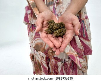 Las manos femeninas mantienen cerradas varias flores secas de cannabis. Usa un vestido rosado.
