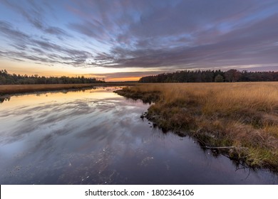 Fen in heathland nature reserve landscape  in province of Drenthe, Netherlands