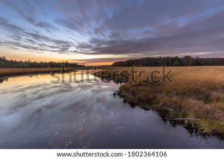 Fen in heathland nature reserve landscape  in province of Drenthe, Netherlands