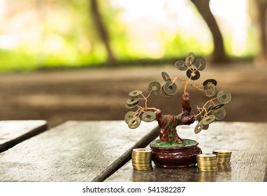 Fen Shui Money Tree Background.