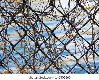 Fence