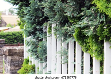 fence