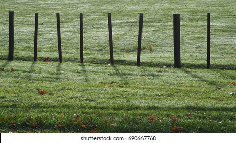 The fence