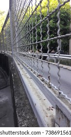 fence