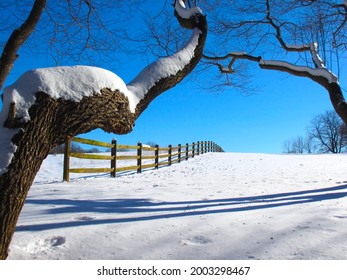 A fence along a snowy field                    
