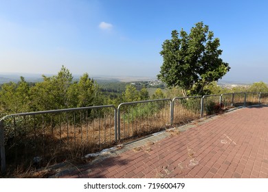 the fence is always the border