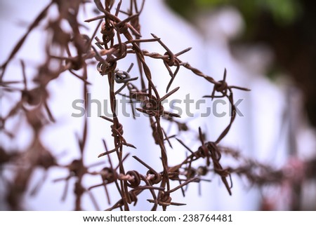 Fence barbed wire railing is rusty