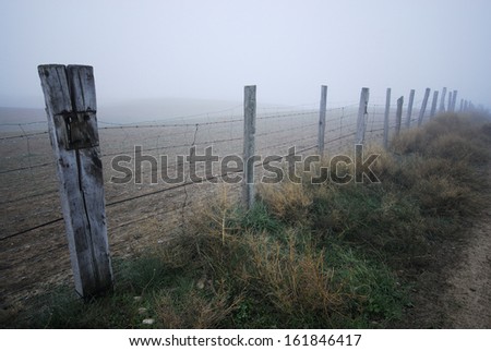 Similar – Image, Stock Photo Misty November Environment