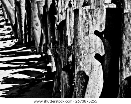 A fence at the beach