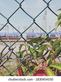 A fence blocking the train to freedom