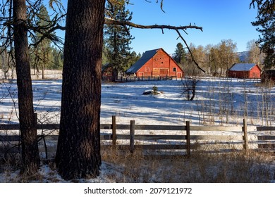 Fence Border Near Pine On A Family Farm With Red Barn Winter