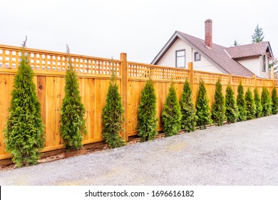 Fence built from wood. Outdoor landscape. Security and privacy concept. Vancouver. Canada. - Shutterstock ID 1696616182