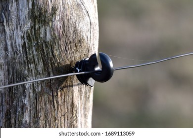 Fence For Cattle, Detail Of Electric Fence And Insulation Element For Fence Wire. Wooden Fencing With Electric Wire.