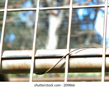 fence close up