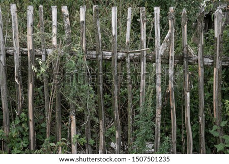 Similar – Image, Stock Photo Holzpaddel lehnt, halb von der Trauerweide bedeckt, an der sonnenwarmen Steinmauer.