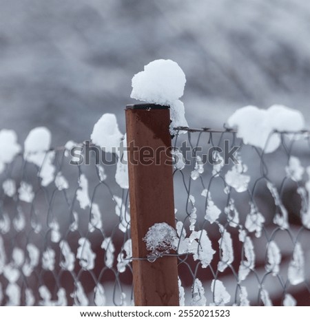 Similar – Image, Stock Photo Snow-covered wire mesh fence