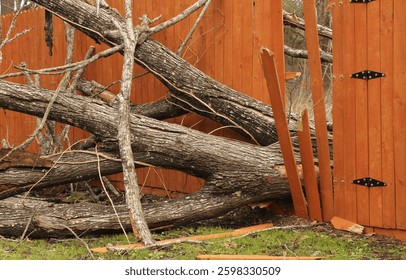 Fence Damaged From Tree Falling During Storm