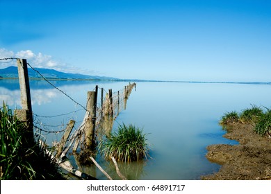 Fence extends int Lake Wairarapa, New Zealand.