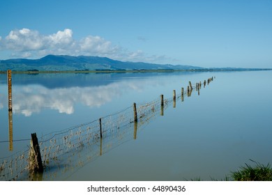 Fence extends into scenic Lake Wairarapa, New Zealand.