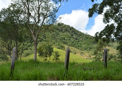Fence in the field