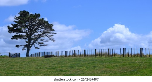 Fence In A Field, Te Hapua, Kaitaia, Far North District, North Island, New Zealand