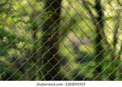Fence in front of the blurred forest. Pattern and texture boket background. - Powered by Shutterstock