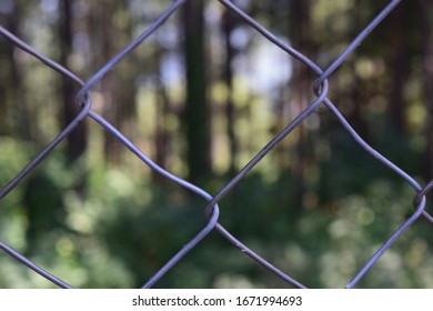 Fence in front of forest
