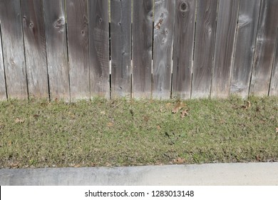 Fence To Grass Transition  Suburbia 