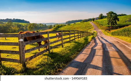 Valla y caballos a lo largo de una carretera nacional en el condado rural de York, PA. Foto de stock