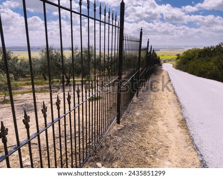 A fence with a lot of iron spikes on it. The fence is on a dirt road