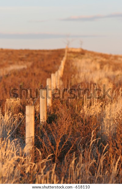 fence leading up the\
hill, fall colors in the brush. shallow depth of field with focus\
on the first post