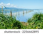 Fence leading into calm blue water of Lake Wairarapa with distant hills across other side in New Zealand North Island.