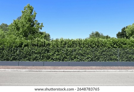 Fence made of gray paster base with grid pattern railing on top. Hedge, trees and sky on behind. Sidewalk and street in front. Background for copy space.