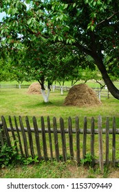 Fence Made Of Wood Friut Tree Grass Countryside