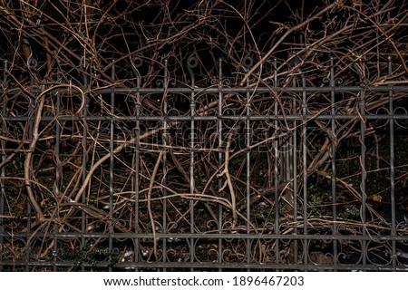 Similar – Image, Stock Photo neighbouring garden